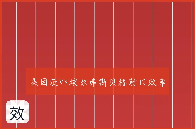 美因茨vs埃尔弗斯贝格射门效率